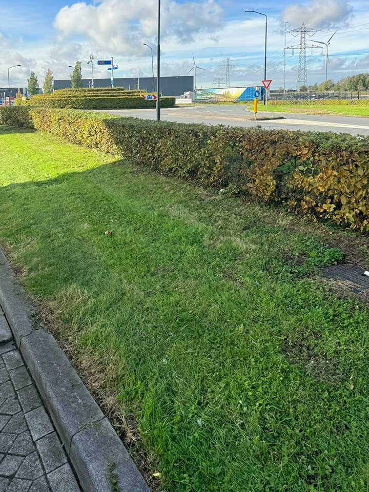 roosendaal_04